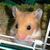 Profile picture small