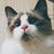 Profile picture small