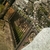 Profile picture small