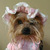 Profile picture small