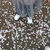 Profile picture small
