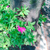 Profile picture small