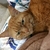 Profile picture small