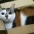 Profile picture small