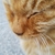 Profile picture small