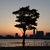 Profile picture small