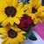 Profile picture small