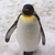 Profile picture small