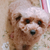 Profile picture small