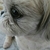 Profile picture small