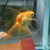 Profile picture small