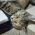 Profile picture small