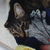 Profile picture small