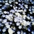 Profile picture small