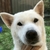 Profile picture small