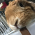 Profile picture small