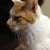 Profile picture small