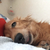 Profile picture small