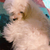Profile picture small