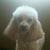 Profile picture small