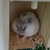 Profile picture small