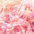 Profile picture small