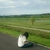 Profile picture small