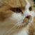 Profile picture small