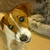Profile picture small