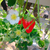 Profile picture small