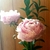 Profile picture small