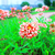 Profile picture small