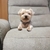 Profile picture small