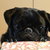 Profile picture small
