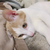 Profile picture small