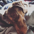Profile picture small