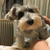 Profile picture small