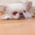 Profile picture small