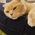 Profile picture small