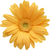 Profile picture small