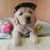 Profile picture small