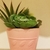 Profile picture small
