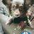 Profile picture small