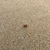 Profile picture small