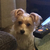 Profile picture small