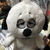 Profile picture small