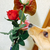 Profile picture small