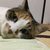 Profile picture small