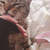 Profile picture small