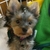 Profile picture small